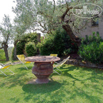 Il Poggio degli Olivi