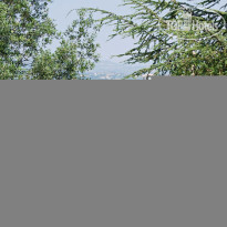 Il Poggio degli Olivi