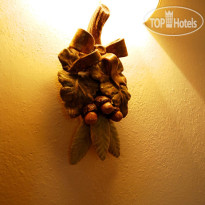 Il Poggio degli Olivi