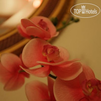 Il Chiostro Assisi B&B