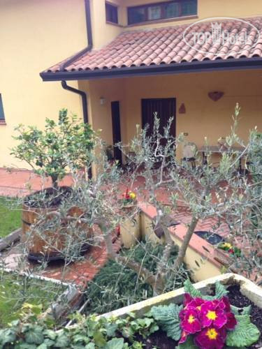 Hotel photo Rose E Viole B&B 