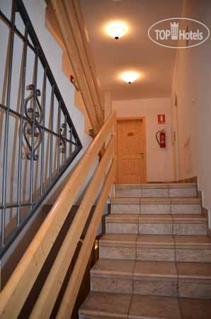 New photos from tourists La Pineta 3*