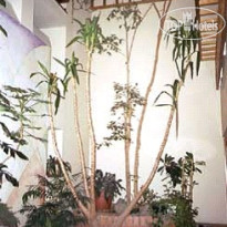 Cristallo hotel Madonna di Campiglio 