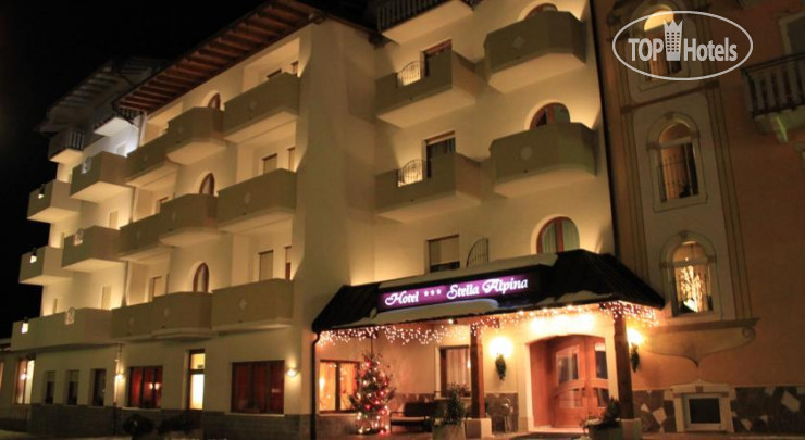 Hotelier's photos Stella Alpina Hotel 3*