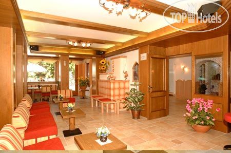 New photos from tourists Erika hotel Madonna di Campiglio 3*