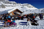 Hotel photo Immobiliare Panizza APT