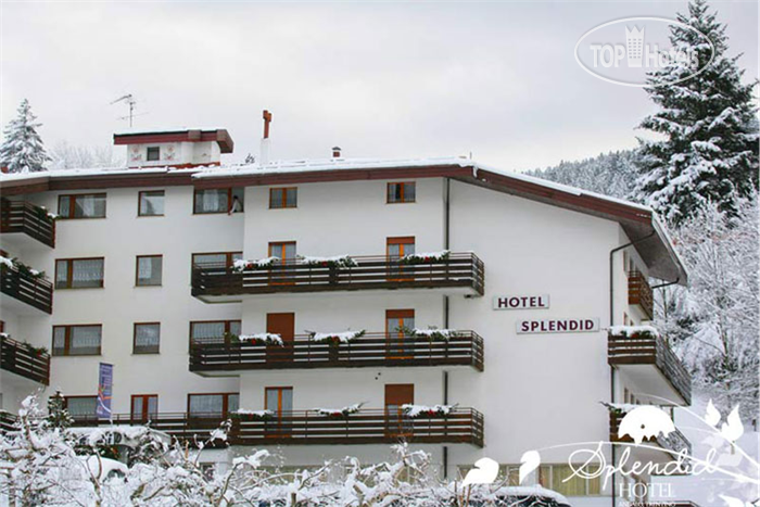 Hotelier's photos Splendid 3*