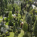 Abano Grand 
