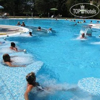 Terme Harry's