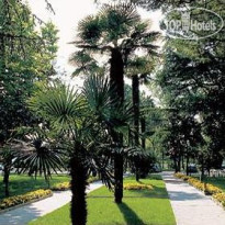 Terme Internazionale