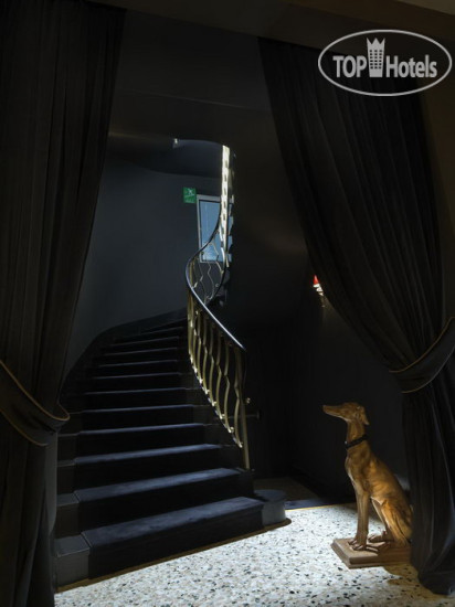 New photos from tourists G Boutique Hotel 4*