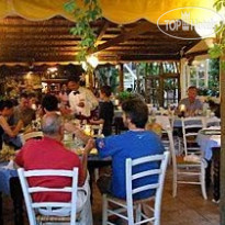 Vina del Mar Pineta 