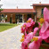 Villa Foscarini 