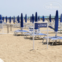 Storione