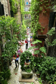 Flora hotel Venice 3*