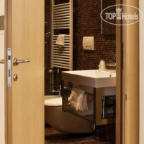 Edelweiss Stella Alpina