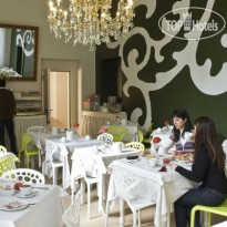 Edelweiss Stella Alpina