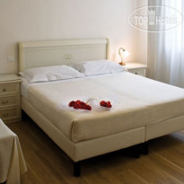 Edelweiss Stella Alpina