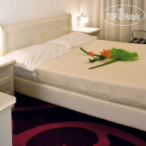 Edelweiss Stella Alpina