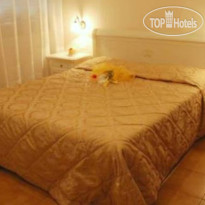 Edelweiss Stella Alpina