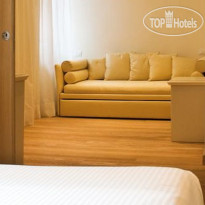 Edelweiss Stella Alpina