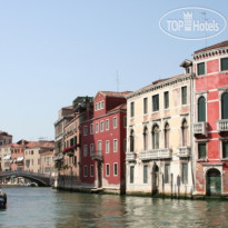 Edelweiss Stella Alpina