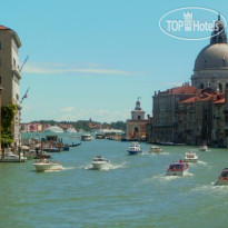 Edelweiss Stella Alpina