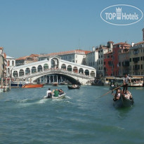 Edelweiss Stella Alpina
