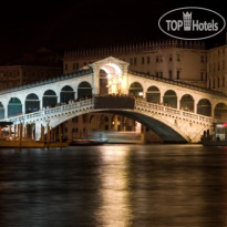 Edelweiss Stella Alpina