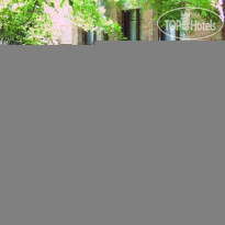 Edelweiss Stella Alpina Терраса в саду