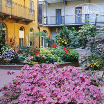 IH Hotels Milano Bocconi Отель