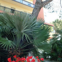 Ausonia
