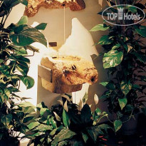 Rivoli Boutique Hotel