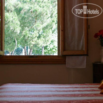 A Beautiful Florence 