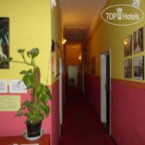 Franz House B&B