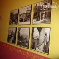 Franz House B&B
