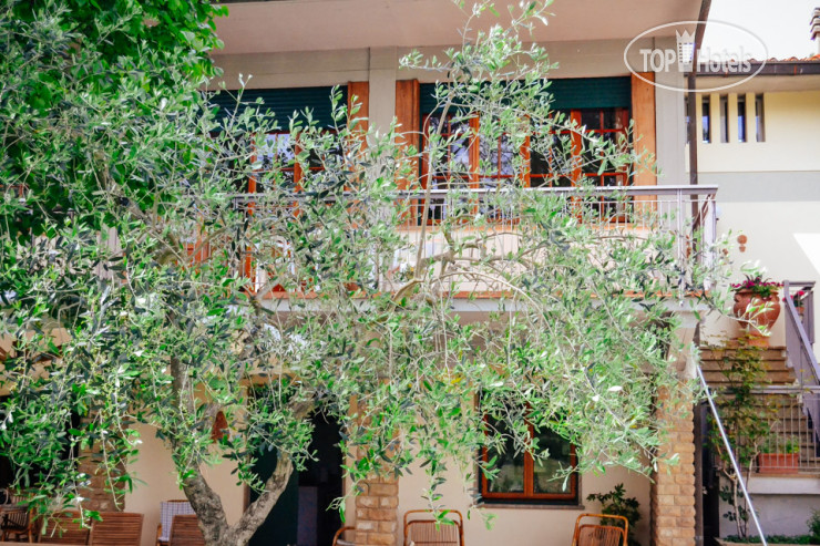 Hotel photo  Il Poggiolino Villa B&B  