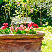  Il Poggiolino Villa B&B  