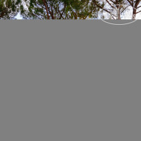  Il Poggiolino Villa B&B  