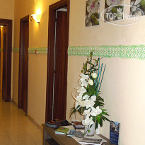 Le Orchidee 