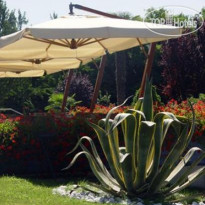 Best Western Soave Hotel San Bonifacio