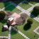 Villa Mater 