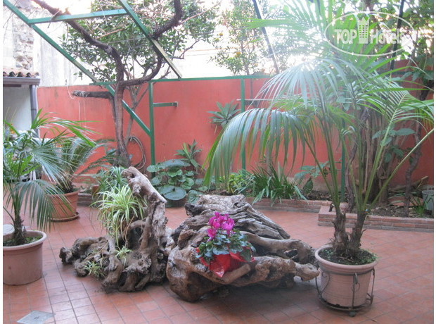 New photos from tourists Scariceddu B&B 