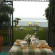 Villa Arco sul Mare 