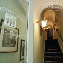 Hotel del Campo