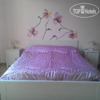 Domus Florea B&B