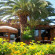 Residence Relais Michelangelo 