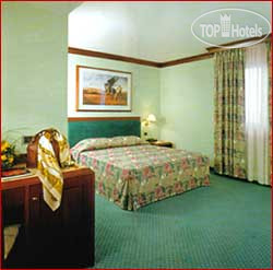 New photos from tourists Airport Palace 4*