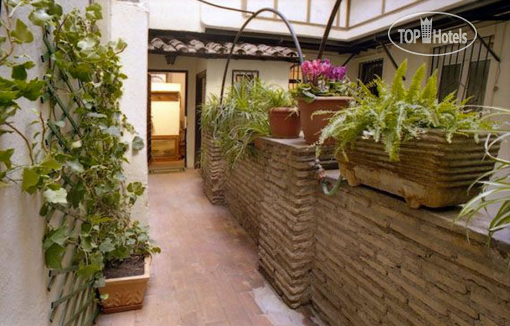 Hotel photo Campo Di Fiori Apartment 3*