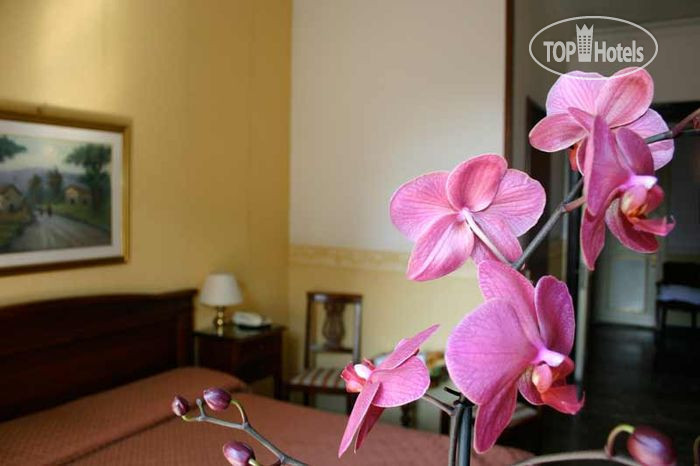 New photos from tourists D` Este 3*